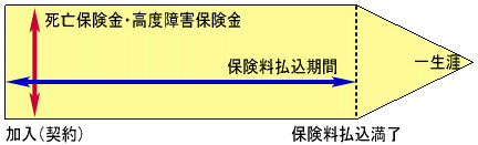 �I�g�ی�