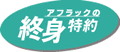 �A�t���b�N�̏I�g����
