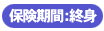 �ی����ԁF�P�O�N