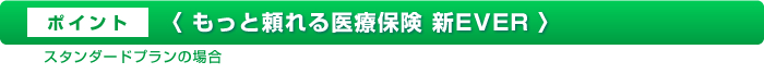 �|�C���g�������Ɨ�����Õی��@�V�d�u�d�q��
�X�^���_�[�h�v�����̏ꍇ